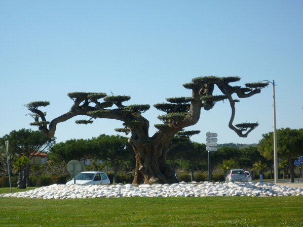 Property grounds - Cozy Ground-Floor T2 for 4 with Terrace, Garden, and Parking; Steps from Beach and Market (Port-la-Nouvelle)