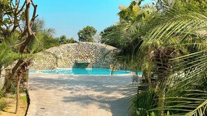 Seasonal outdoor pool - The Roar Resort. (Ramnagar)