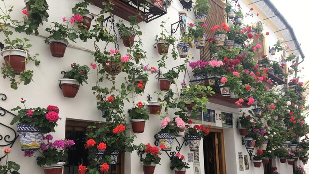 A building with multiple balconies adorned with hanging flower pots and potted plants. - Charming Apartment with Pool & Garage in Córdoba's Prime Shopping District (Córdoba)