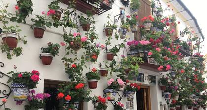 Appartement à Córdoba : Piscine, garage et quartier commerçant
