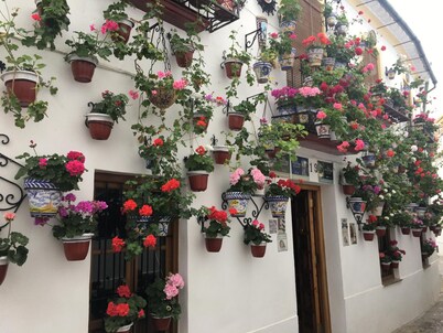 Charming Apartment with Pool & Garage in Córdoba's Prime Shopping District