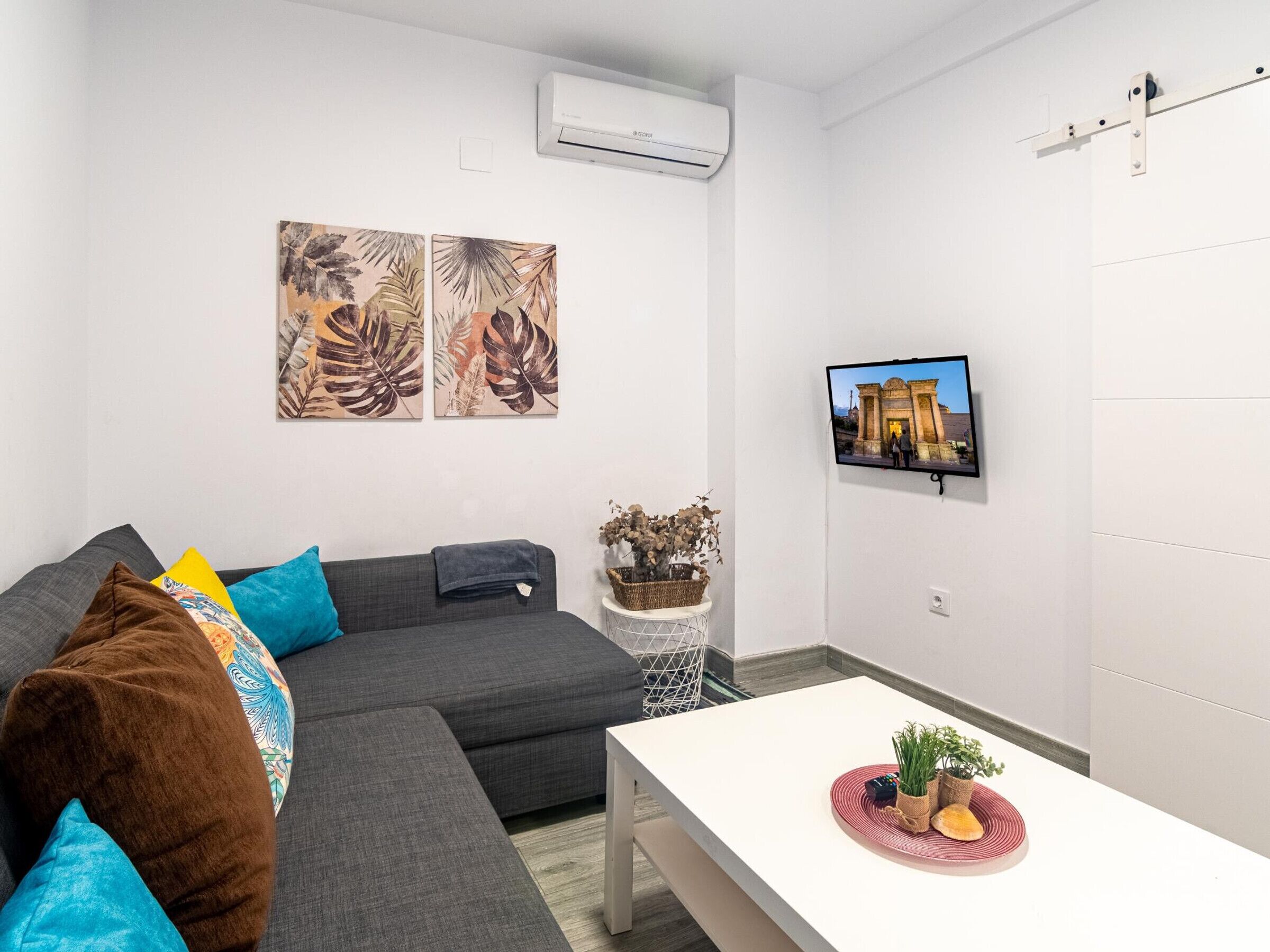 Fernseher
