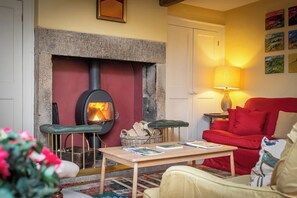 TV connectée, cheminée