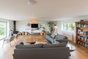 Smart TV, chimenea, reproductor de DVD