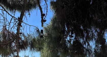 La Casa del Nespolo Exclusive Country Suites w/ Seaview Pool, Sunset Terrace&RHIB