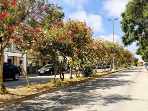 Property grounds - MallorCasita, Ferienhaus für Familien in Strandnähe in S'Illot (S'Illot-Cala Morlanda)