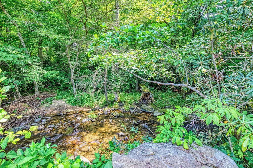 A natural landscape with a stream, dense foliage, and a large rock in the foreground.