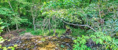 A natural landscape with a stream, dense foliage, and a large rock in the foreground.