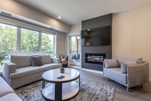TV, fireplace, offices