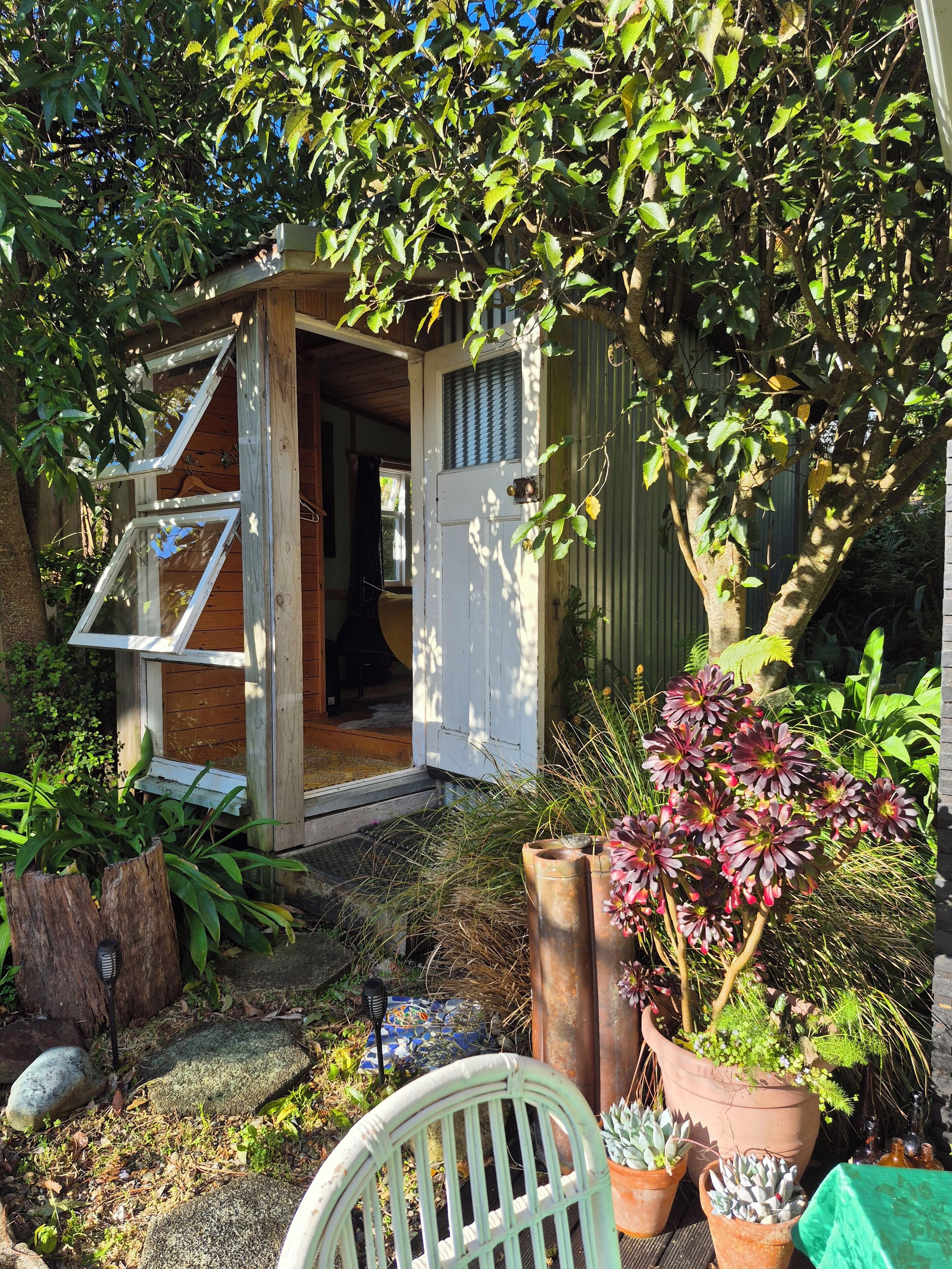 A wooden structure with a door and windows, surrounded by potted plants and a garden.
