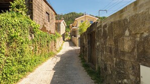 A narrow cobblestone street flanked by stone walls and vegetation, leading to buildings with traditional architecture.