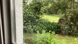 A window with a view of a lush garden, including a variety of plants and a wooden fence. - Urlaub Inmitten der Natur (Mechernich)