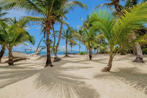 On the beach - Spacious 3BR Beachfront Condo, Pool (San Pedro - North)