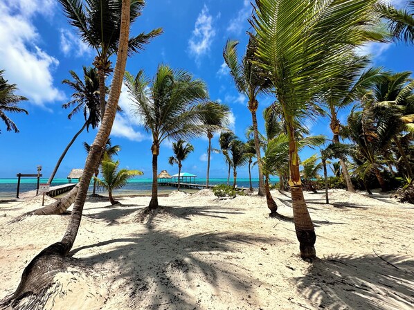 A beach with palm trees and a clear blue sky.