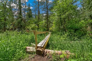 Puinen penkki metsäisellä alueella, jossa on tiheää kasvillisuutta ja taustalla näkyy puita.
