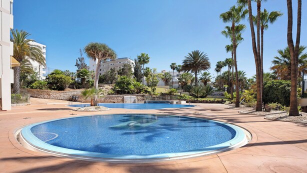 Apartment | Pool - Apto 111 El Dorado Playa las Americas (Arona)