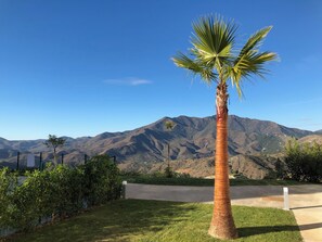 Căn hộ | Khuôn viên nơi lưu trú