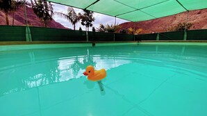 A swimming pool with a rubber duck floating on the water, surrounded by a green canopy and palm trees. - Modern Tiny Country House Near Fataga & Maspalomas (San Bartolomé de Tirajana)