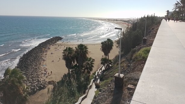 Una playa con costa rocosa, palmeras y un paseo de concreto.