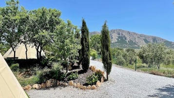 Cabin | Khuôn viên nơi lưu trú