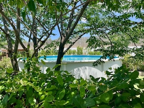 A swimming pool surrounded by trees and greenery.