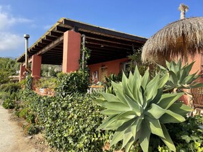 Estudio | Exterior