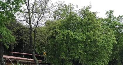 Alba 2-bed Cottage - Sleeps 4 - Montseny Park