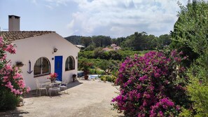 Casa | Área da propriedade