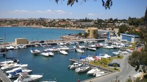 Ένα λιμάνι με πολλά αγκυροβολημένα σκάφη, ένας δρόμος που οδηγεί στο λιμάνι και μια παραθαλάσσια πόλη στο βάθος.