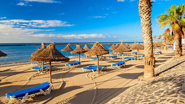 Una playa con sombrillas de paja, sillas de descanso, palmeras y un cielo azul despejado.