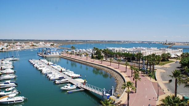 Un puerto deportivo con numerosas embarcaciones amarradas, un paseo peatonal y vistas al mar y edificios al fondo.