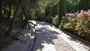Un chemin pavé bordé d’arbres et d’arbustes en fleurs.