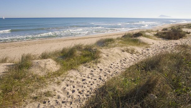 Appartement | Strand