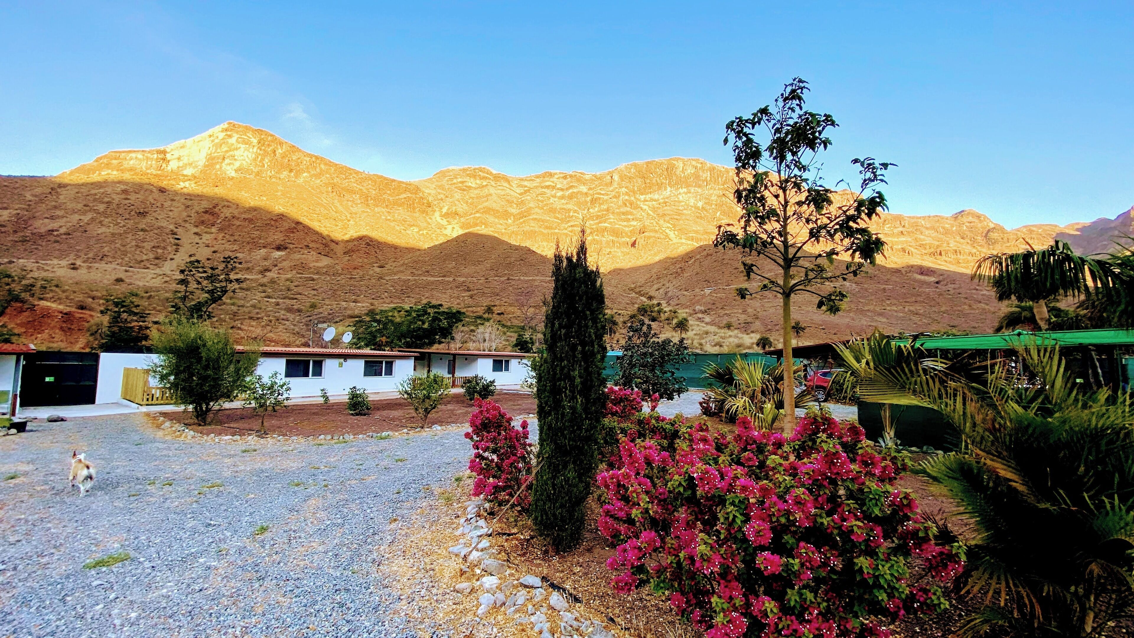 Chalet | Property grounds