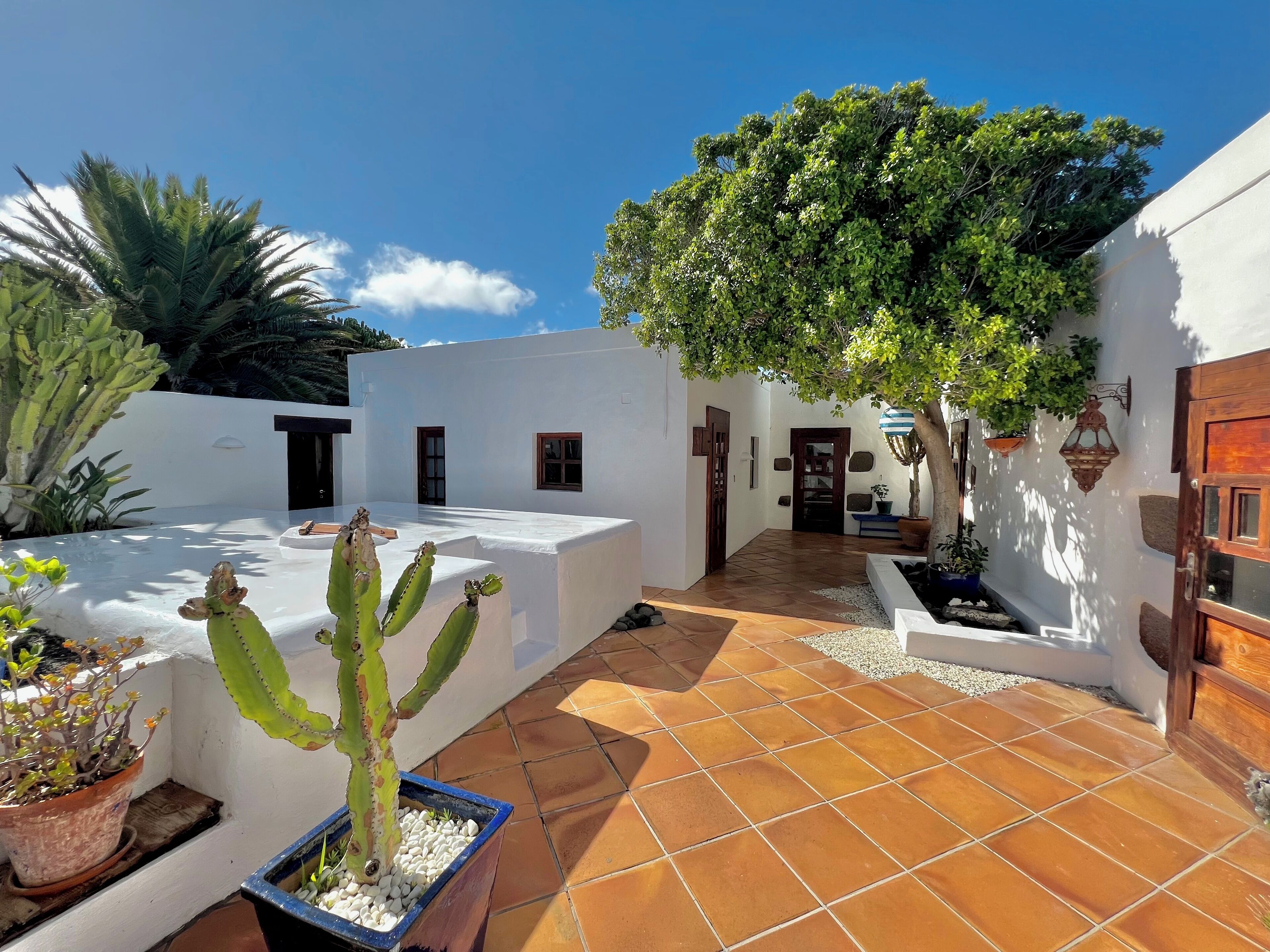 ハウス | 施設の敷地