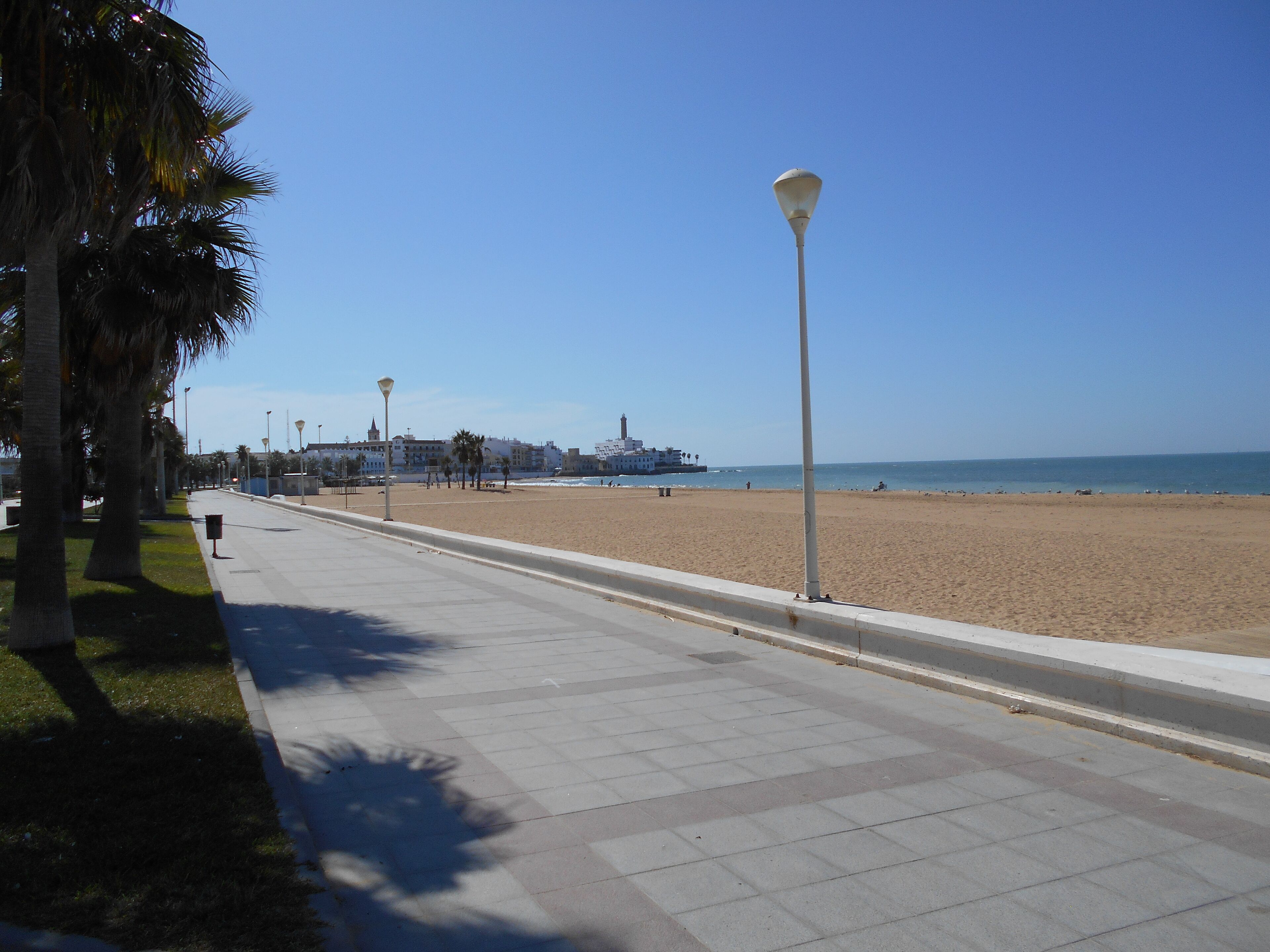 A coastal promenade with a wide sidewalk, palm trees, and a clear view of the beach and ocean.