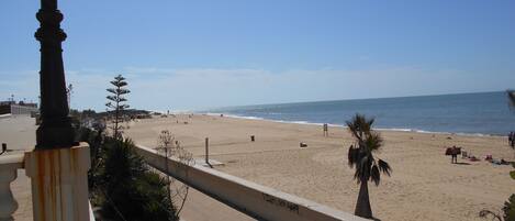 A beach with a paved walkway and palm trees.