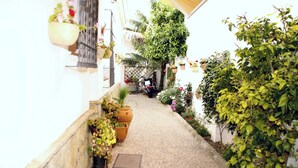 Une ruelle étroite, avec une moto garée au bout, bordée de plantes en pot et de verdure.