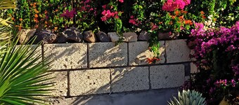 Finca Aurora - Peaceful Apartmentin Arico