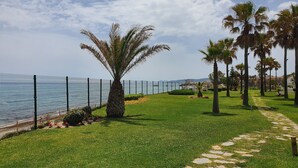 A coastal walkway with a palm tree, a fence, and a path leading to the sea. - Captivating 2-bed Apartment First Line Beach (Casares)
