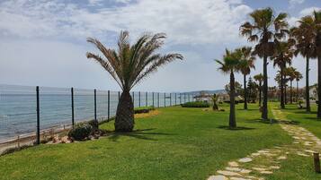 Departamento | Áreas de la propiedad