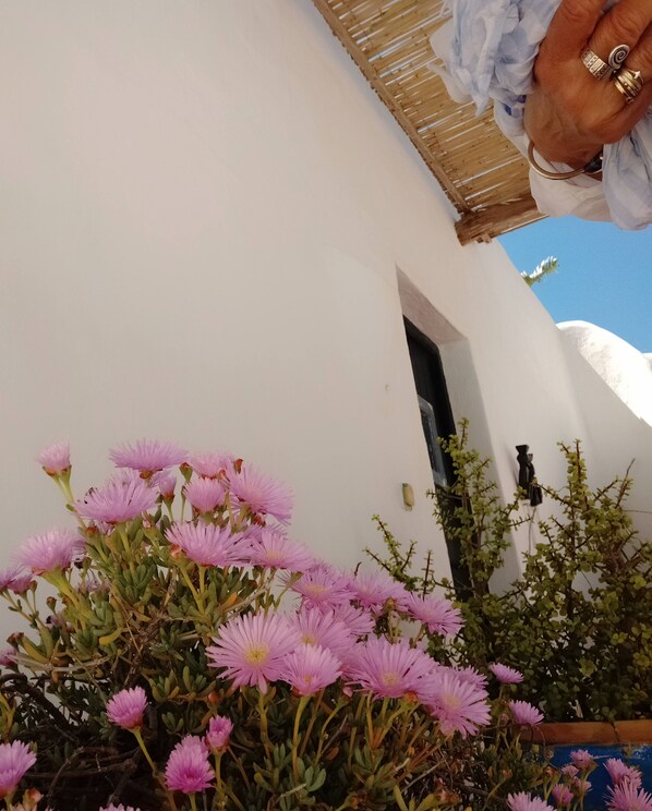 Property grounds - Vaixell, Wonderful Sunsets , Private Terraces (Sant Josep de sa Talaia)