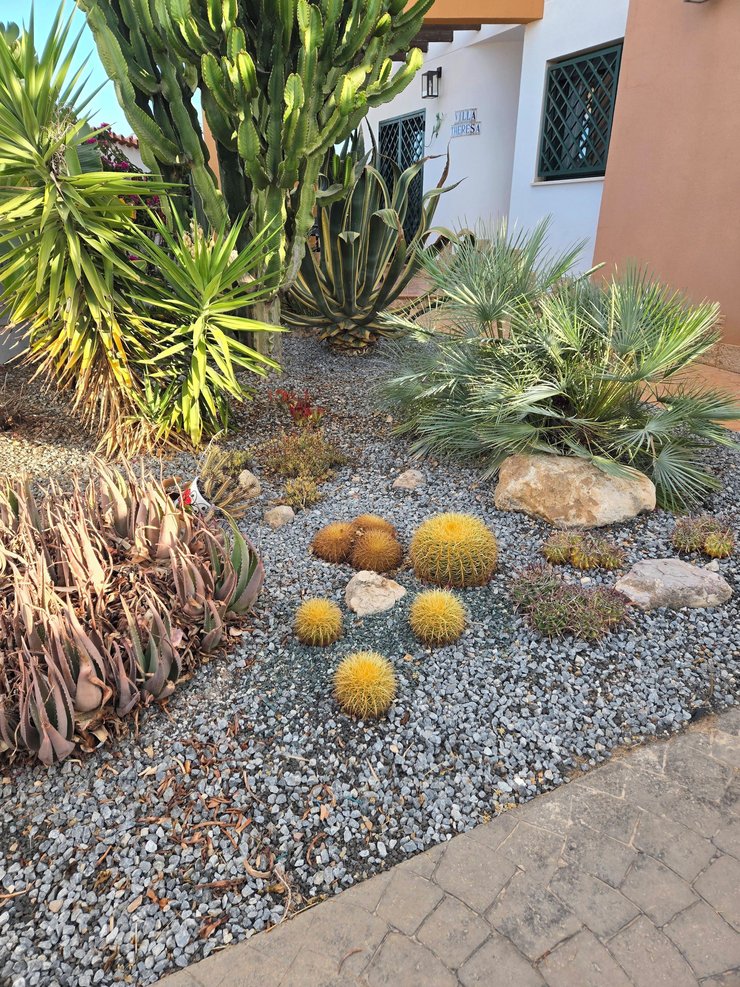 Ein Garten mit verschiedenen Kakteen und Sukkulenten, einem Stein und einem Gebäude mit der Aufschrift 'Villa Theresa'.