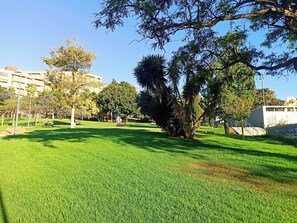 A well-maintained park with green grass, trees, and benches. - Light-flooded Loft in Santa Cruz (Santa Cruz de Tenerife)