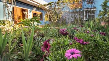 Khuôn viên nơi lưu trú