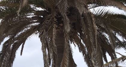 Relaxing and Welcoming Villa, Corralejo, Canaries