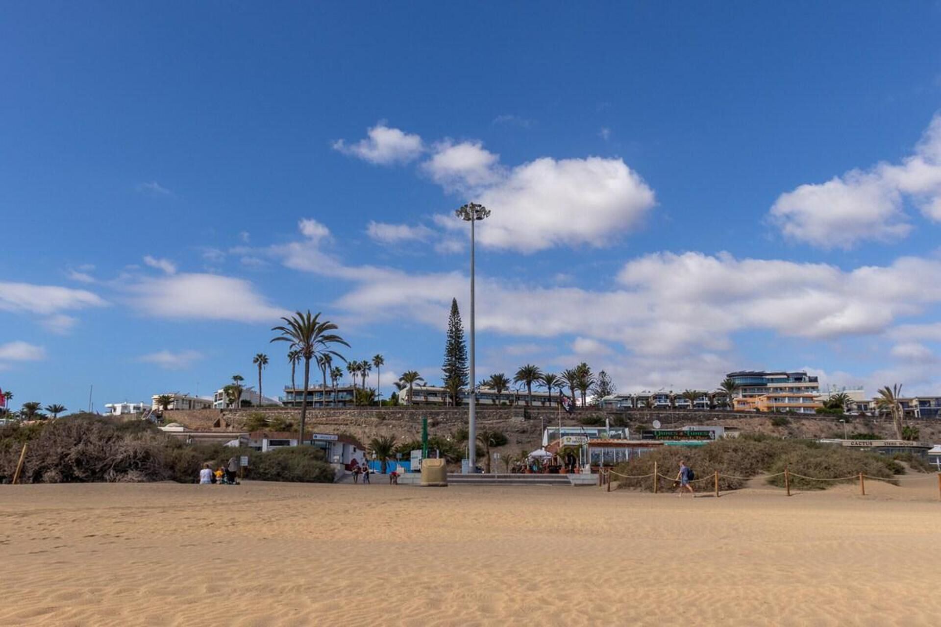 A sandy beach with palm trees and a tall street lamp.