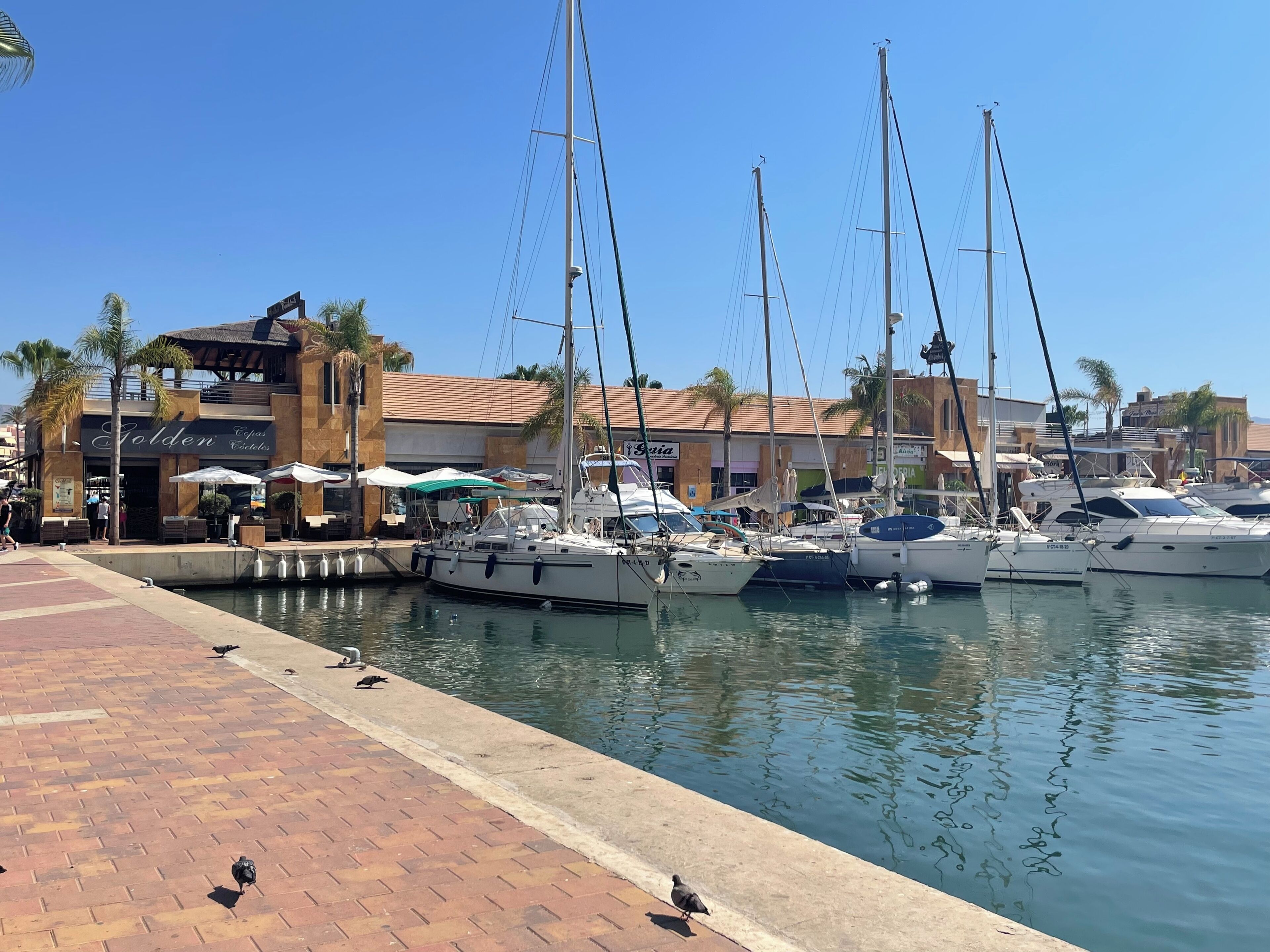 Apartamento | Puerto deportivo
