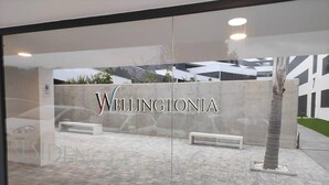 A modern building with the name 'Wellingtonia' displayed prominently. - Stunning Apartment in Estepona, Spain Private Pool (Estepona)
