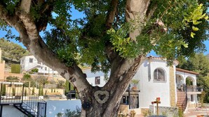 A tree with a heart-shaped carving on its trunk, a white building with arched windows and a balcony, and a gravel driveway. - Lovely 2 Bed Apartment in Alcalali (Alcalali)